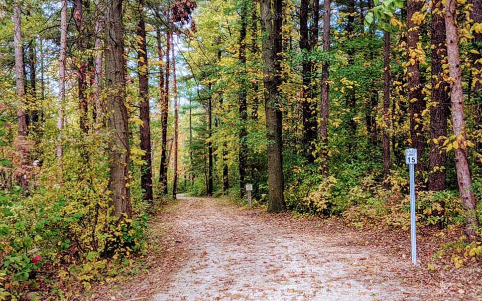 Fall leaves on trail with speed limit 15mph sign on post